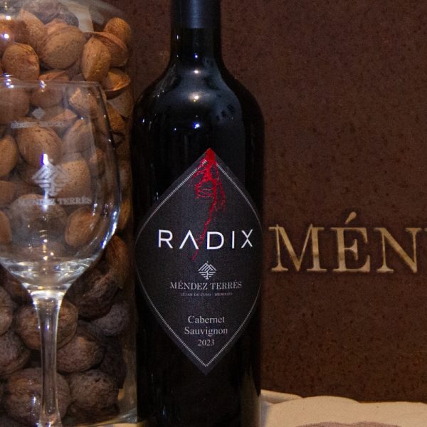 Cabernet Sauvignon - Imagen 2