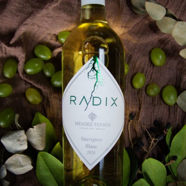 RADIX Sauvignon Blanc - Imagen 3