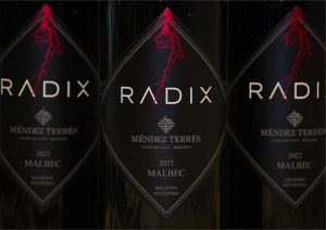 galería malbec 2022 diploma vinus 2025 2